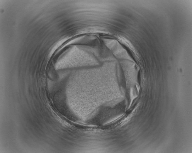 X0000062641081200601181739