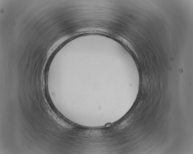 X0000062641082200601181739