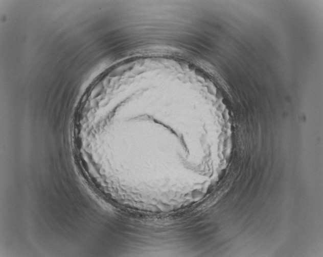 X0000062641083200601181739