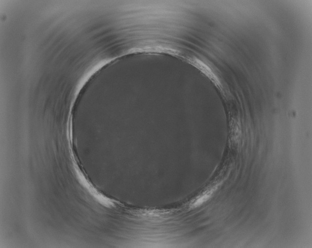 X0000062641084200601181739