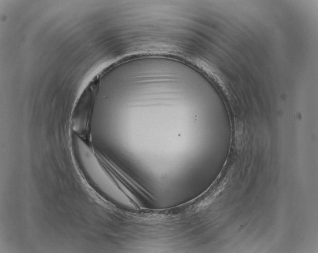 X0000062641085200601181739