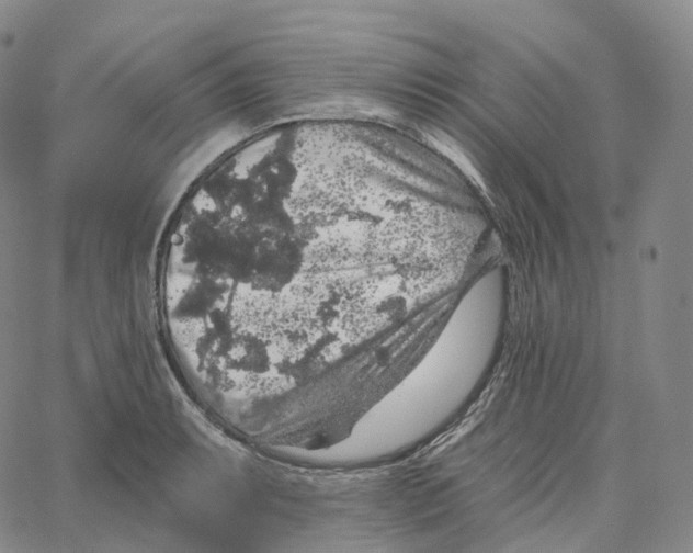 X0000062641087200601181739