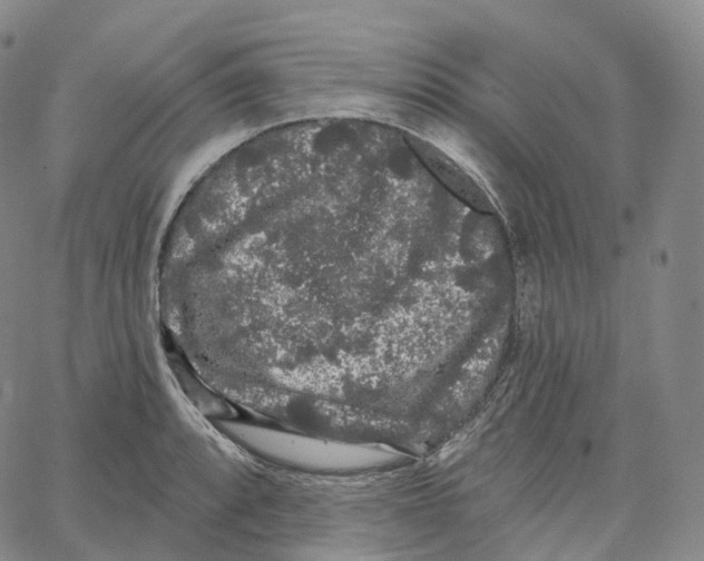 X0000062641088200601181739