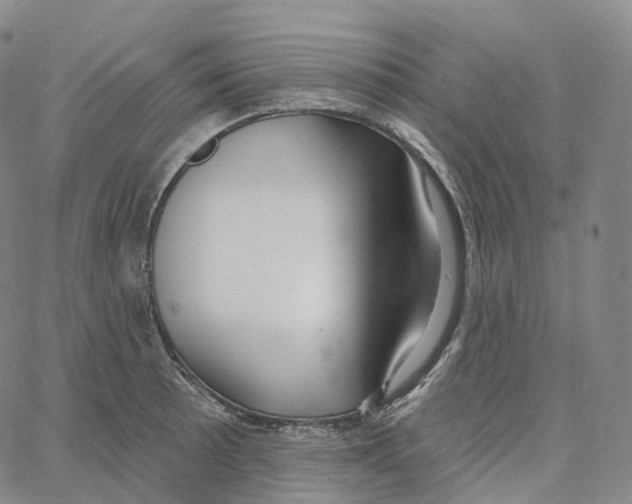 X0000062641089200601181739