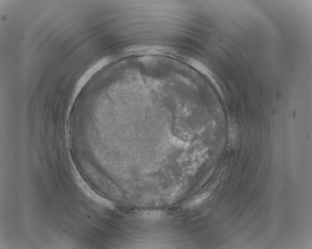 X0000062641090200601181739