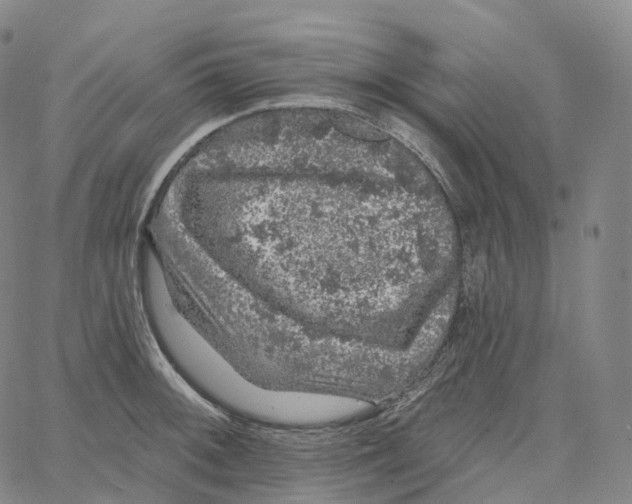 X0000062641092200601181739