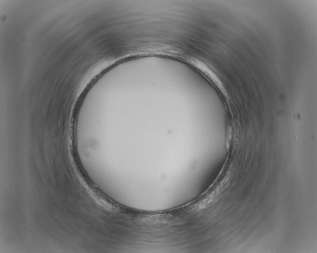 X0000062641093200601181738