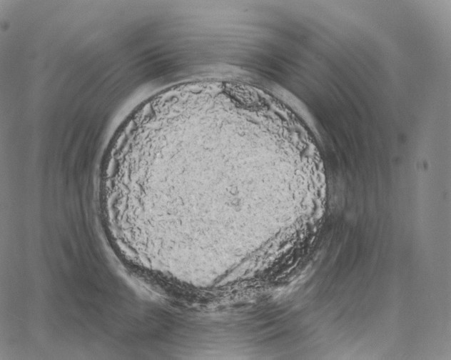 X0000062641099200601181738