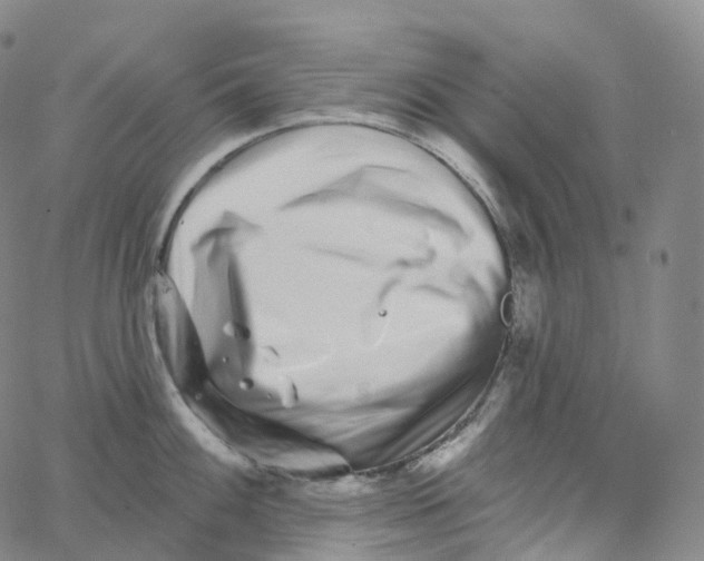 X0000062641100200601181738