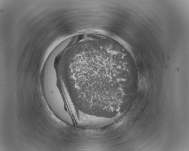 X0000062641102200601181738