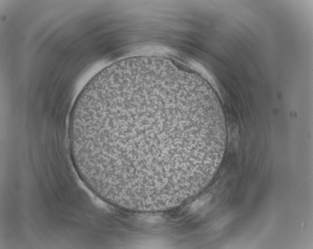 X0000062641103200601181738