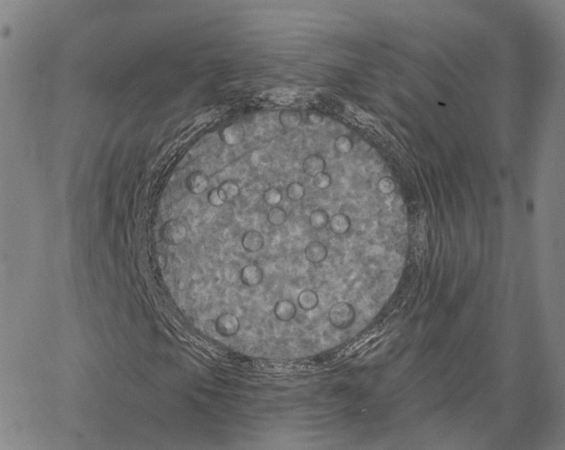 X0000062641105200601181738