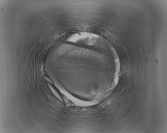 X0000062641106200601181738