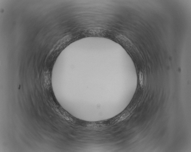 X0000062641107200601181738