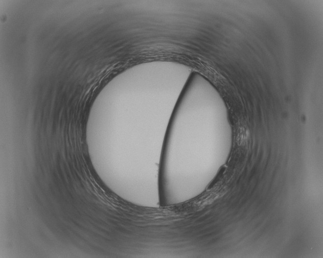 X0000062641108200601181738