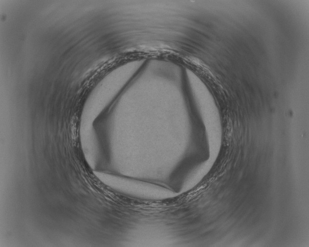 X0000062641110200601181738