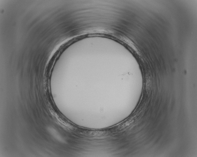 X0000062641116200601181738