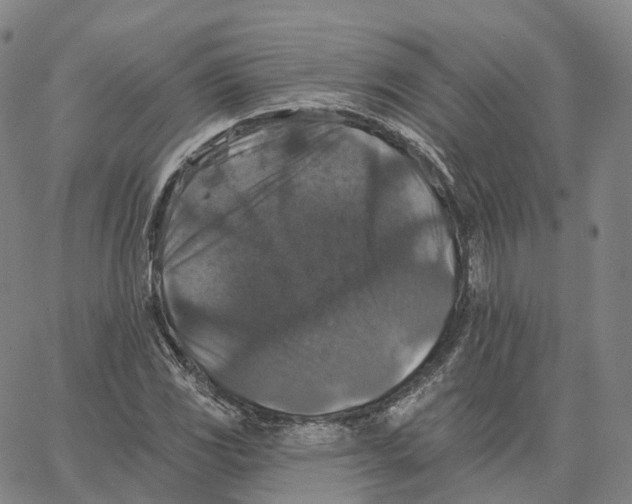 X0000062641117200601181738