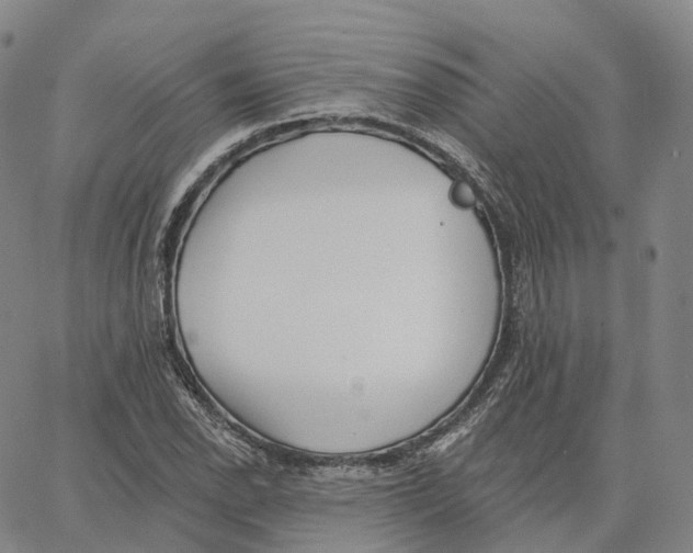 X0000062641118200601181738