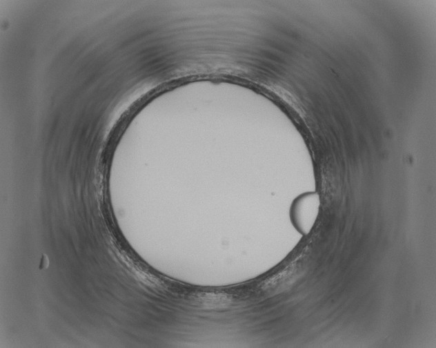 X0000062641119200601181738