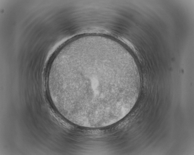 X0000062641120200601181738