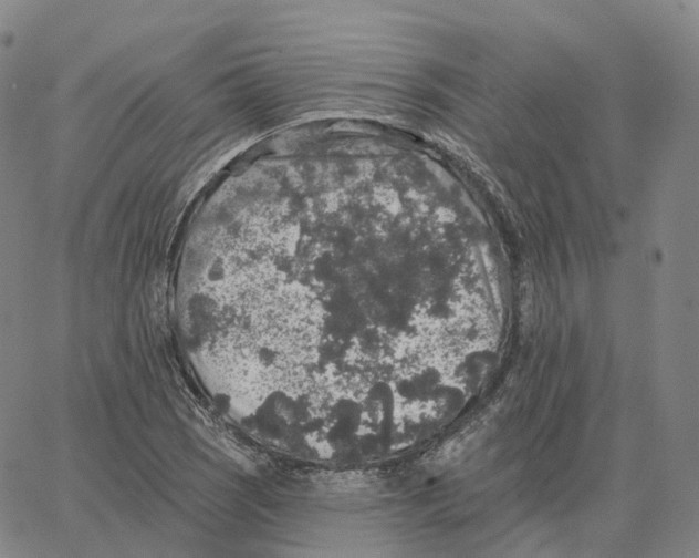 X0000062641121200601181738