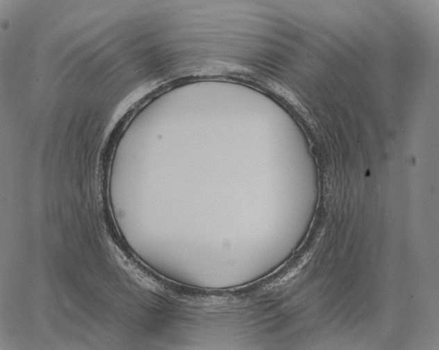 X0000062641122200601181738