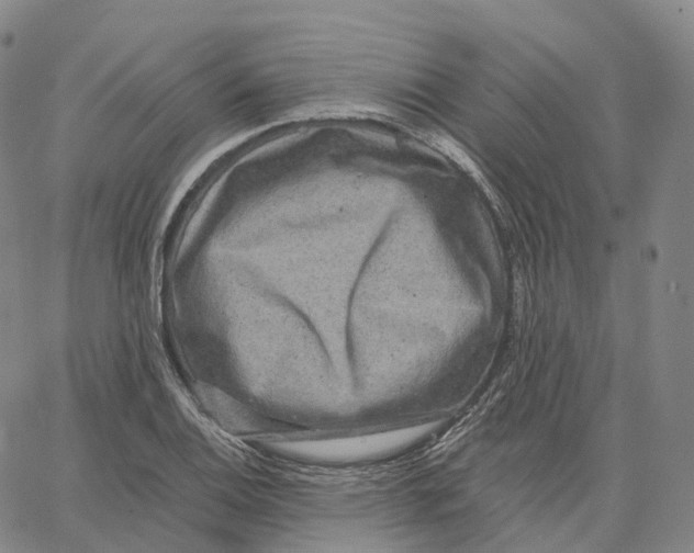 X0000062641124200601181738