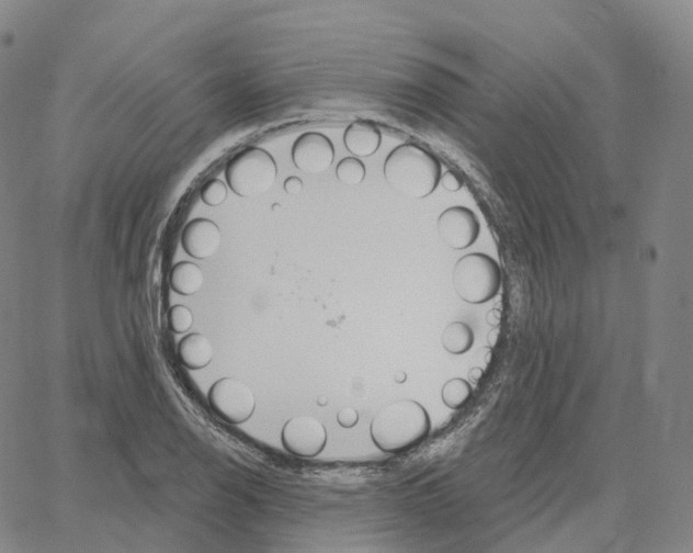 X0000062641126200601181738