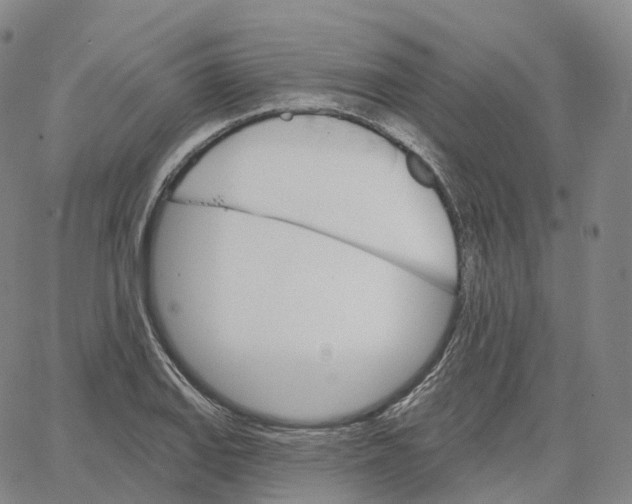 X0000062641127200601181738