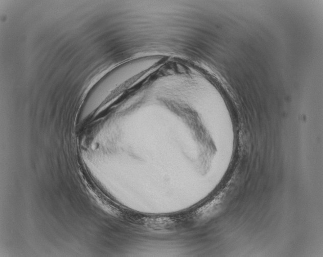 X0000062641129200601181738