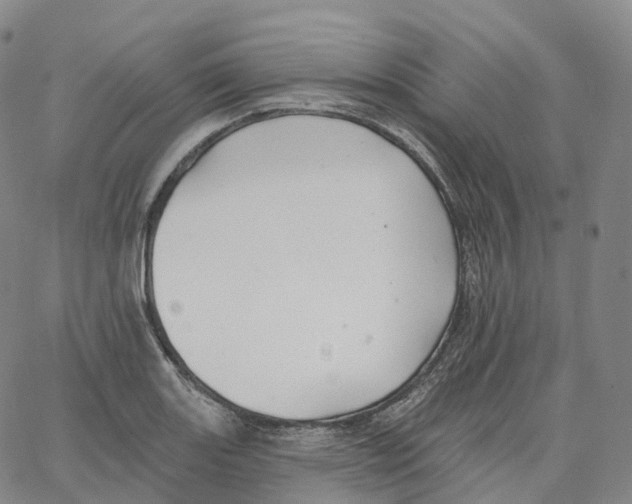 X0000062641131200601181738