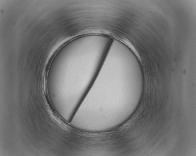 X0000062641132200601181738