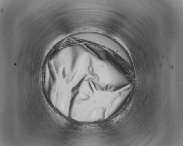 X0000062641133200601181738