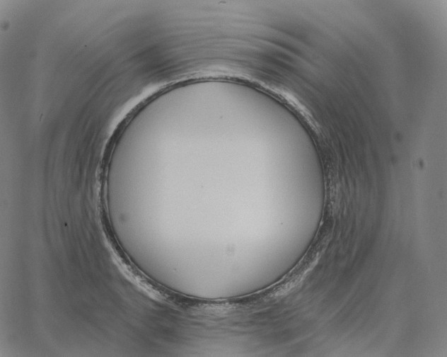 X0000062641134200601181738