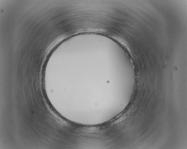 X0000062641135200601181738