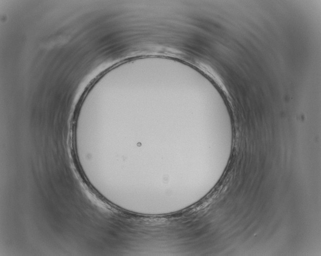 X0000062641136200601181738