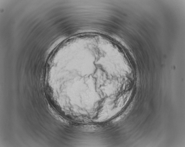 X0000062641137200601181738