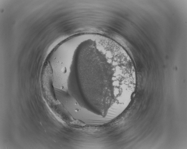 X0000062641141200601181738