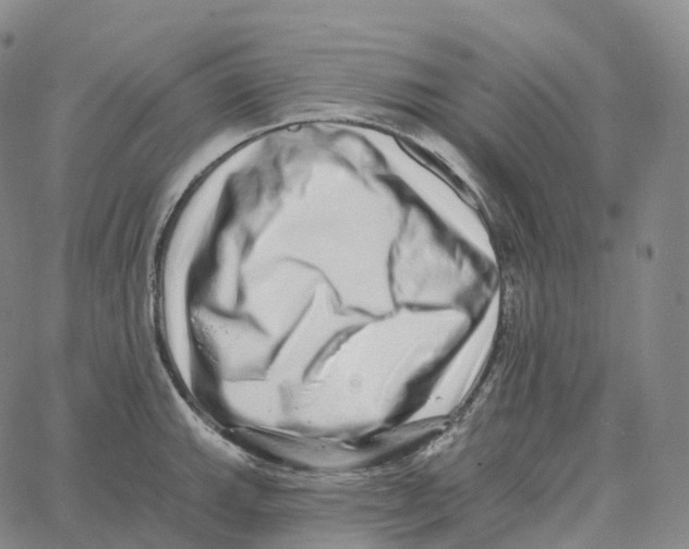 X0000062641143200601181738