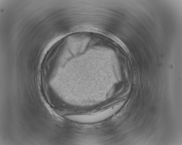 X0000062641144200601181738