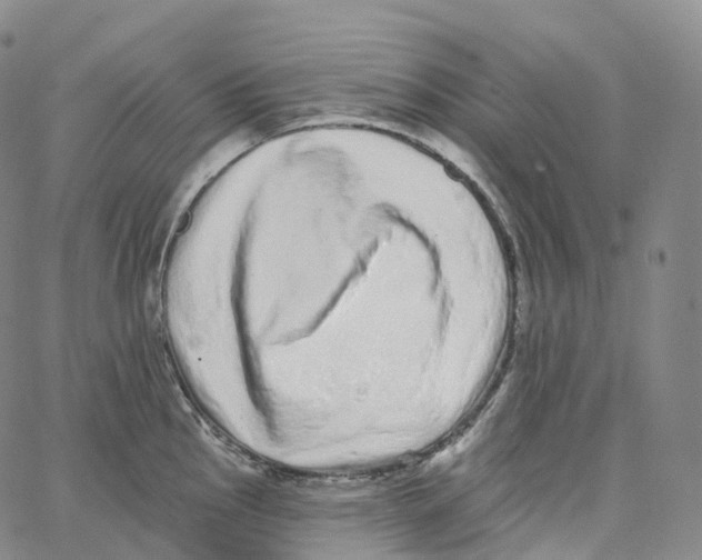 X0000062641145200601181738