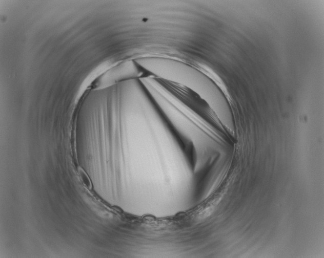 X0000062641146200601181738