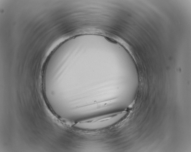 X0000062641147200601181738