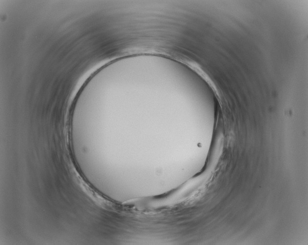 X0000062641148200601181738