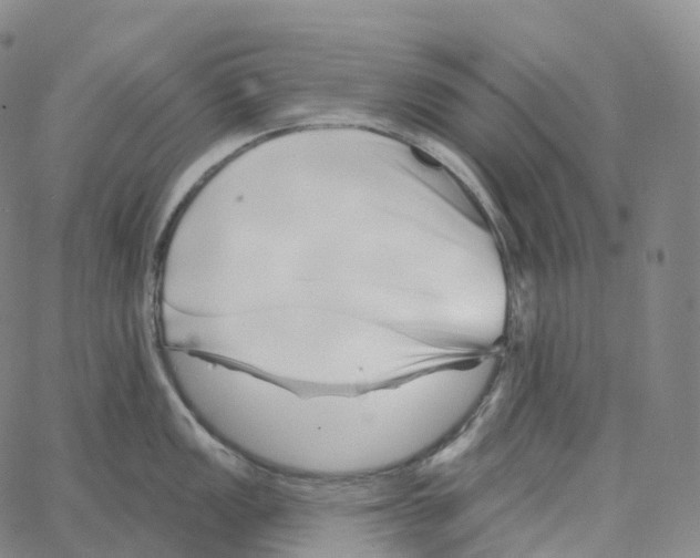 X0000062641149200601181738