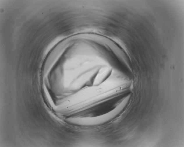 X0000062641151200601181738