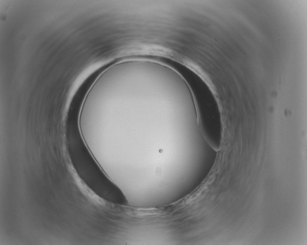 X0000062641152200601181738