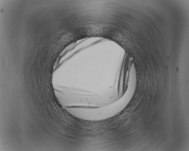 X0000062641153200601181738