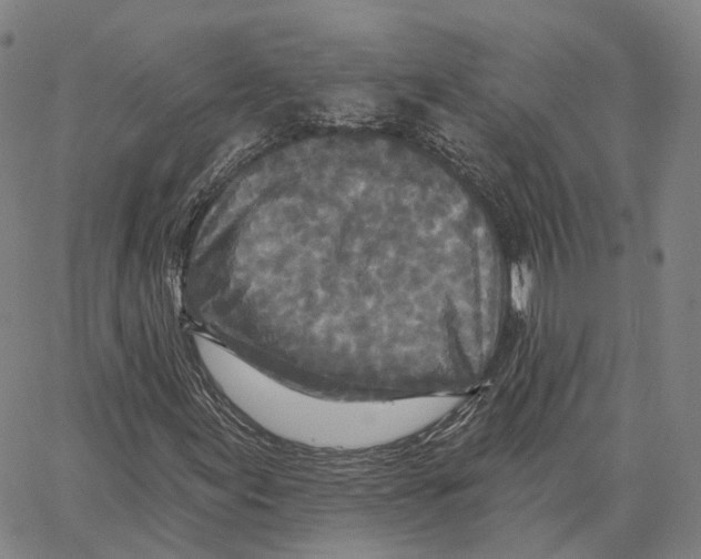 X0000062641155200601181737